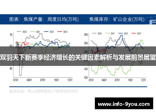 双羽天下新赛季经济增长的关键因素解析与发展前景展望