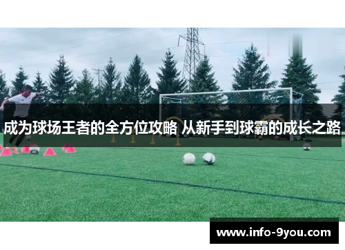 成为球场王者的全方位攻略 从新手到球霸的成长之路