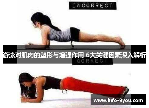 游泳对肌肉的塑形与增强作用 6大关键因素深入解析