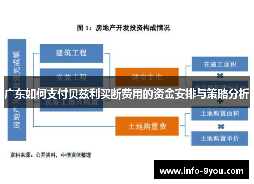 广东如何支付贝兹利买断费用的资金安排与策略分析