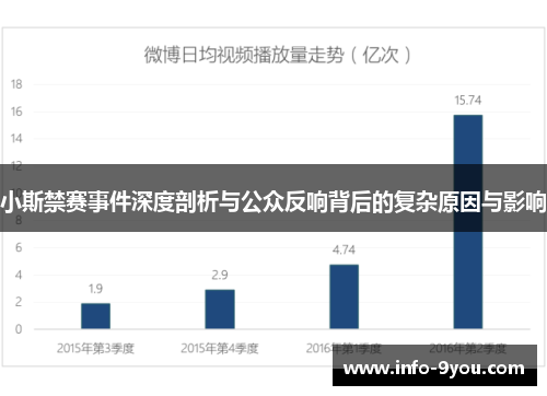 小斯禁赛事件深度剖析与公众反响背后的复杂原因与影响