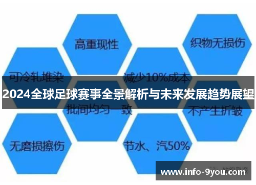 2024全球足球赛事全景解析与未来发展趋势展望